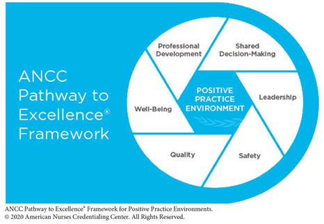 conceptual framework.png